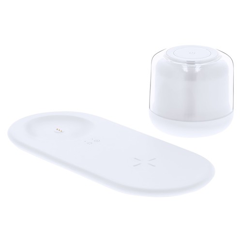 Charger Lamp Reginal Charger Lamp Reginal