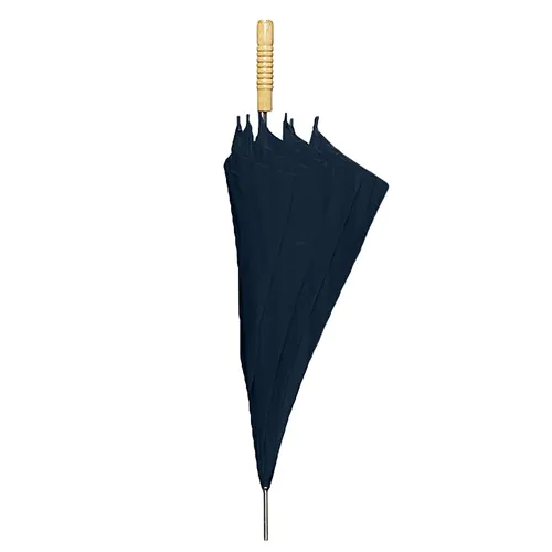 parasol
