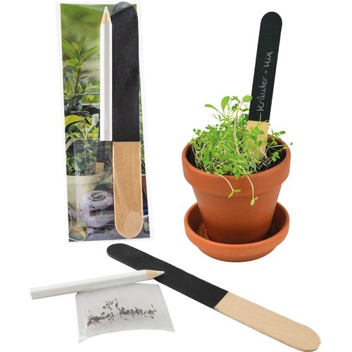 aromatische kruiden aromatische kruiden