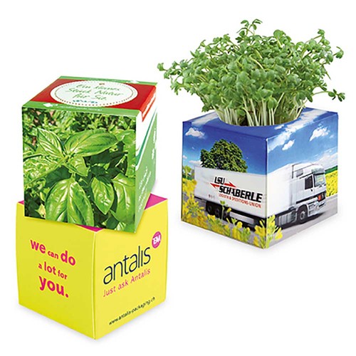 Plant-cube 2.0 with seeds - Christmas - Basil Plant-cube 2.0 with seeds - Christmas - Basil