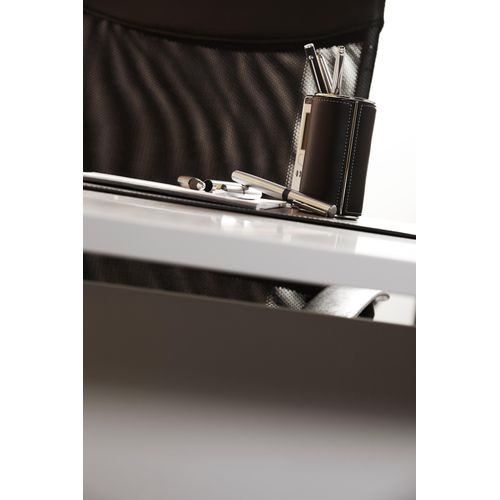 RVS balpen Rex