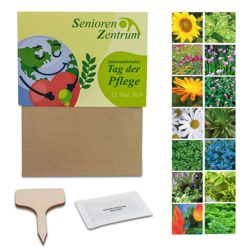 Ensemble de plantes - Lot de 3 - Tournesol / Marguerite / Souci