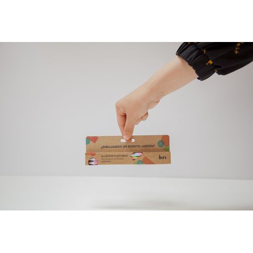 Crayon avec des graines X 3