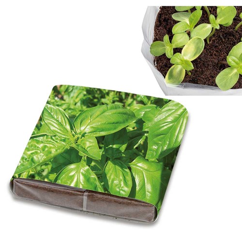 Set de plantation Pop-up avec graines - Basilic