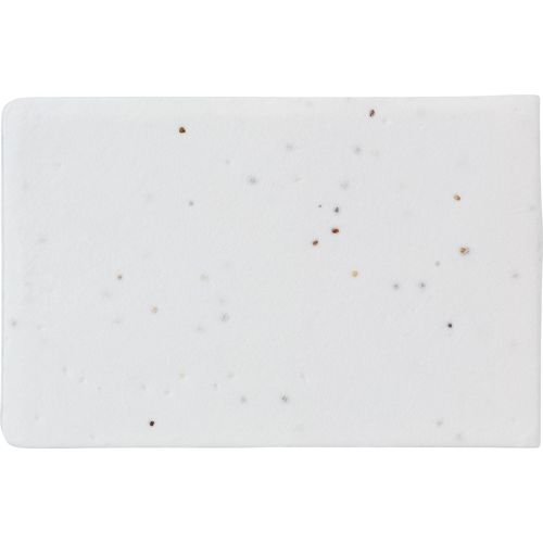 Paper sticky notes seed paper Natalja Paper sticky notes seed paper Natalja