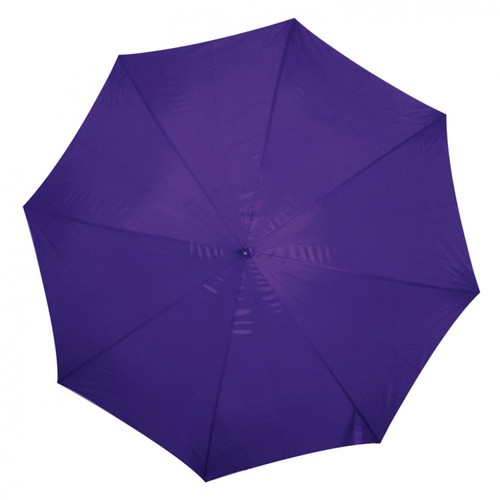 Automatic umbrella Automatic umbrella