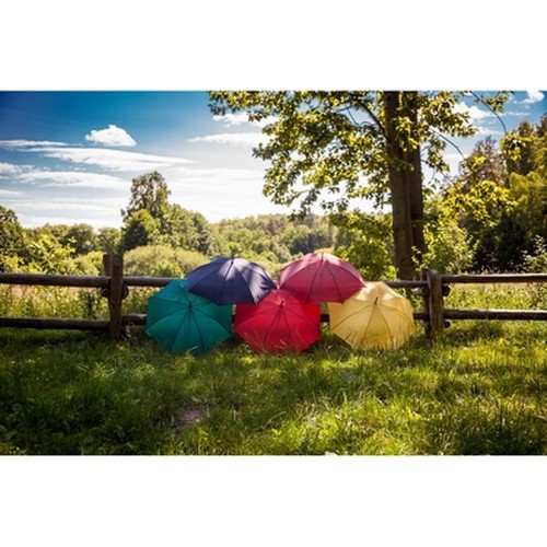 Automatic umbrella | Hayden