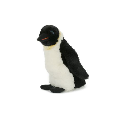Peluche Peluche