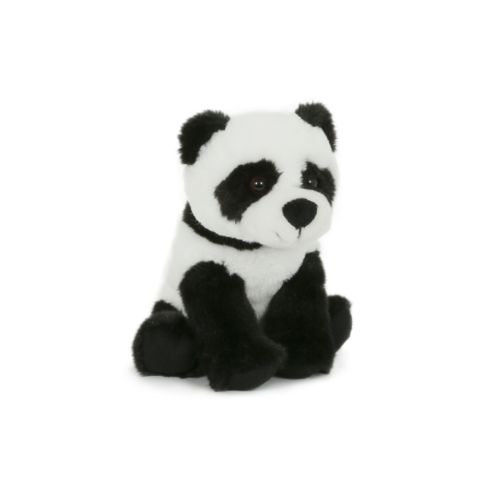 Peluche