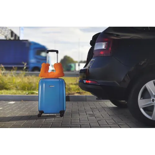 Almohada de terciopelo Stanley