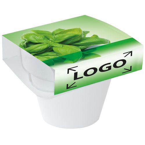 aromatyczne zioła aromatyczne zioła