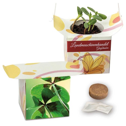 Hanging pot - Four-leaf clover Hanging pot - Four-leaf clover