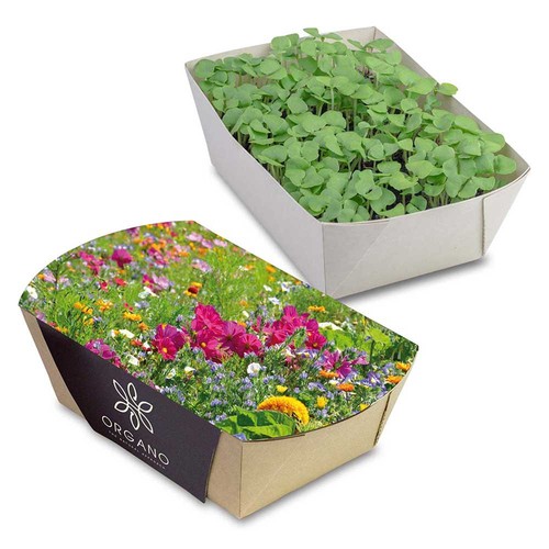 Jardinière en papier bambou avec graines - Mélange de fleurs d'été Jardinière en papier bambou avec graines - Mélange de fleurs d'été