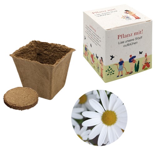 Cube-plantset (groot) - Margriet Cube-plantset (groot) - Margriet
