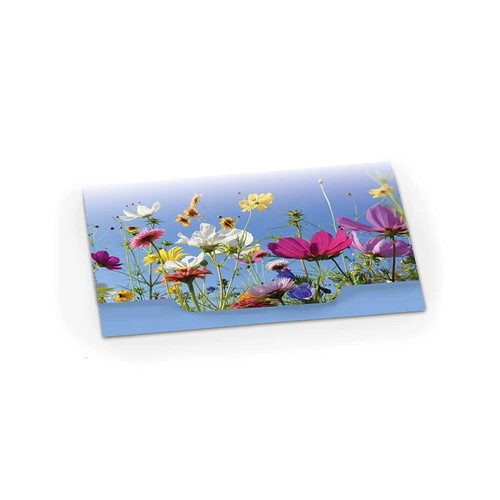 Seed-paper - standard design - caterpillar Seed-paper - standard design - caterpillar