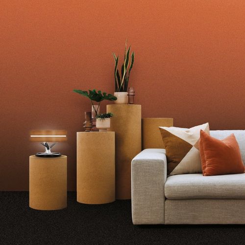 BUILT-IN LAMP / SPEAKER & CHARGER