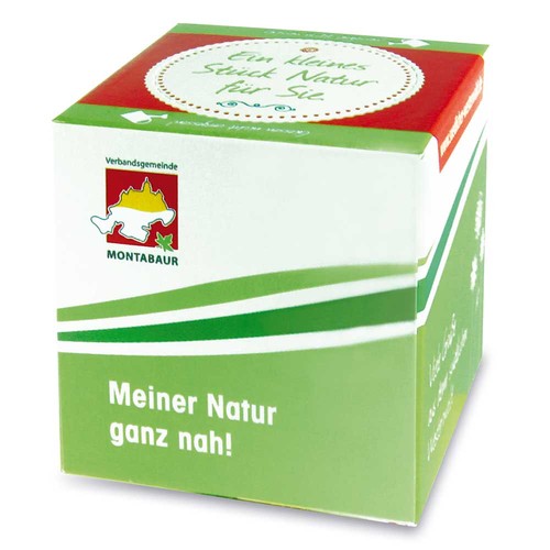 Plant-cube 2.0 with seeds - Christmas - chives