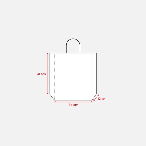157 g/m2 matte laminated paper shopping bag with gusset and bottom reinforcement