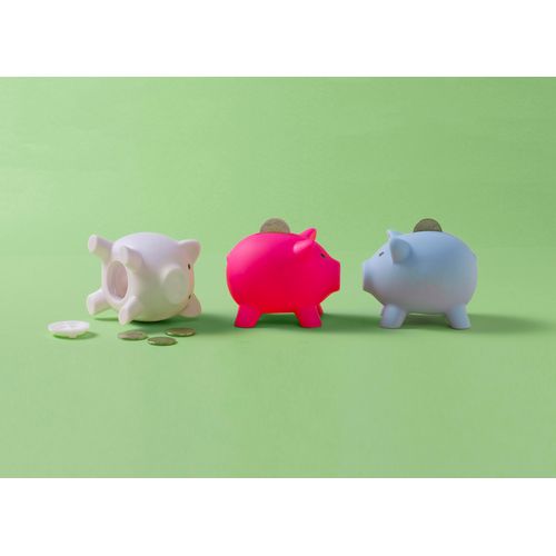 PVC spaarvarken Roger PVC spaarvarken Roger