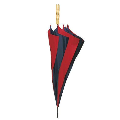 parasol