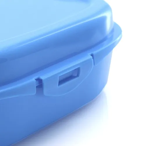 Sandwich Lunch Box Noix Sandwich Lunch Box Noix