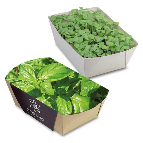 Jardinière en papier bambou avec graines - Basilic