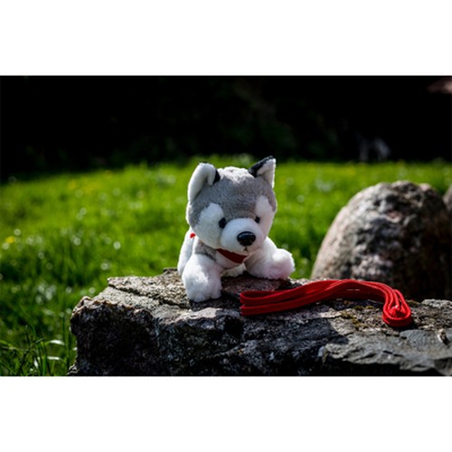 Plush husky | Trooper Plush husky | Trooper