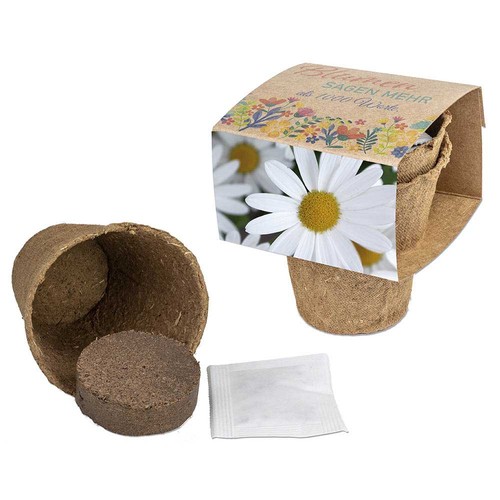 Kit de culture avec graines - Marguerite Kit de culture avec graines - Marguerite