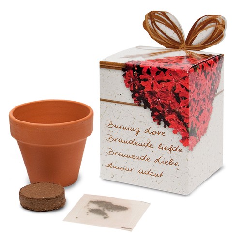 Kit de culture – Pot en terre cuite 5 cm en boîte de présentation (personnalisé)