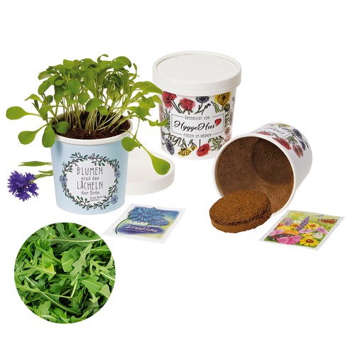 Cup Flower - zaadset - Rucola