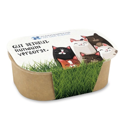 Cat grass planting kit - Cat grass