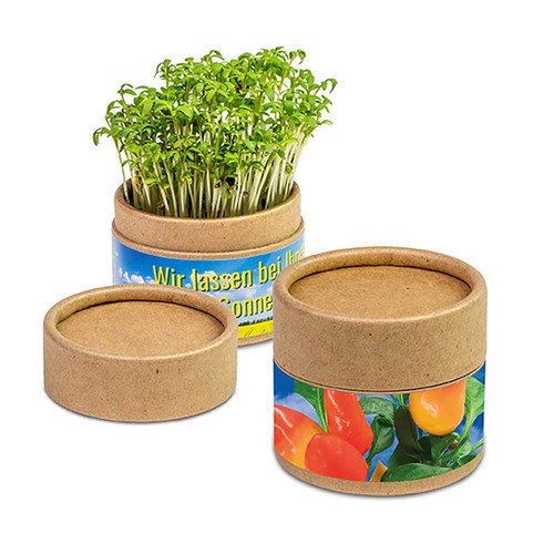 Boite kraft avec graines - Piment