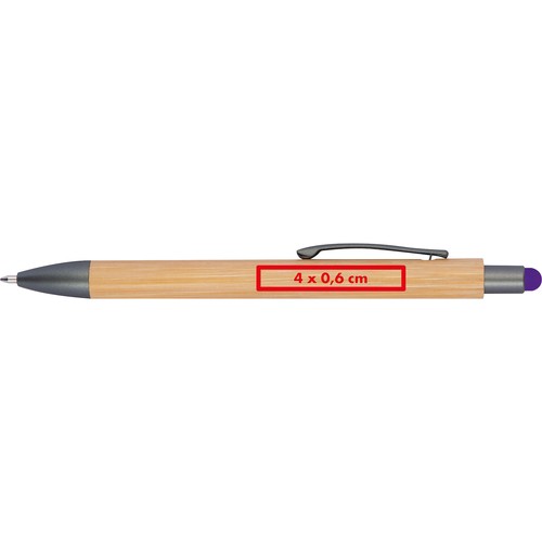 Ballpen with bamboo coating Ballpen with bamboo coating