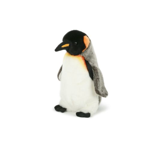 Peluche Peluche