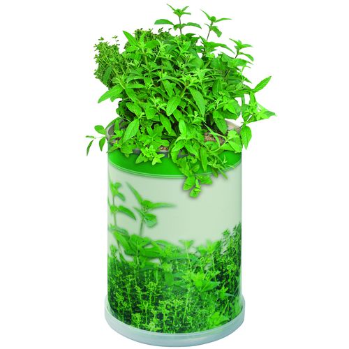 Boîte de fleurs Énergie