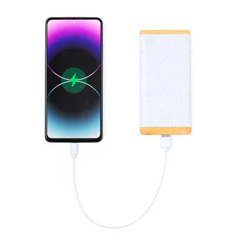Power Bank Coquin Power Bank Coquin