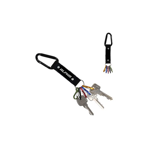 Carabiner key holder