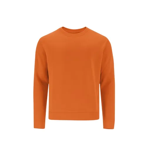 bluza