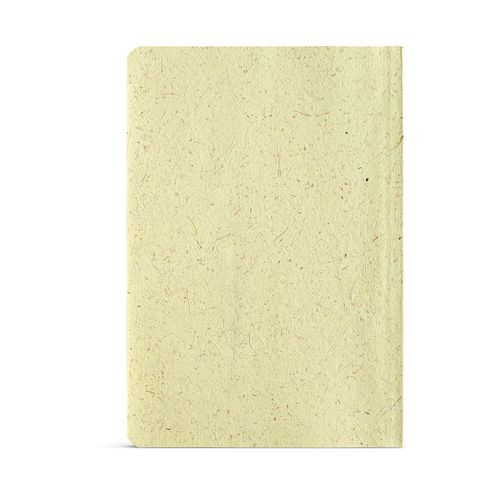 Lewis Notebook Lewis Notebook