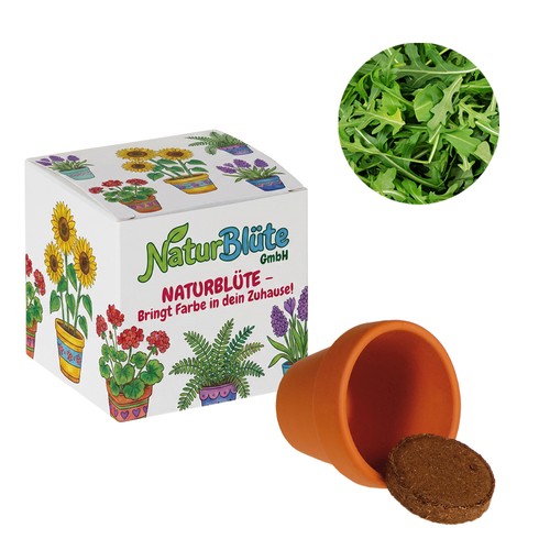 Cube de graines promotionnel (papier blanc) - Roquette Cube de graines promotionnel (papier blanc) - Roquette