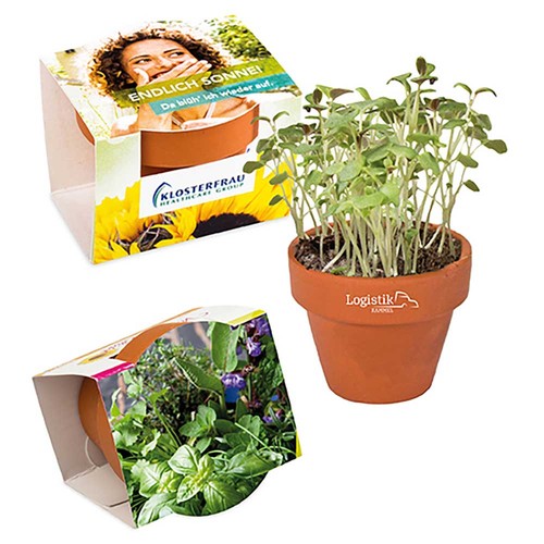 Mini pot terre cuite, fourreau complet - Mélange d'herbes aromatiques Mini pot terre cuite, fourreau complet - Mélange d'herbes aromatiques