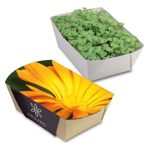 Jardinière en papier bambou avec graines - Souci