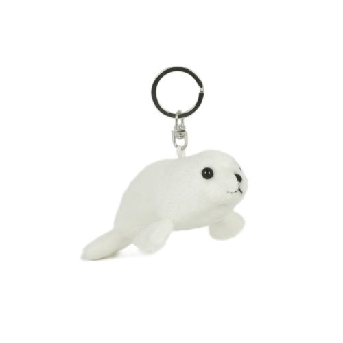 key chain key chain