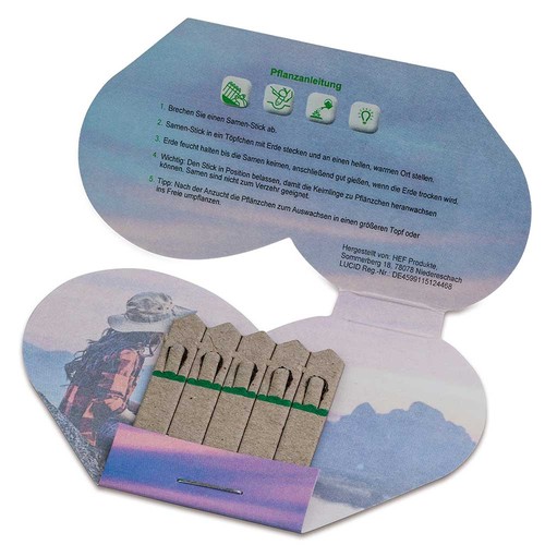 Bâtonnets de graines - coeur - Epicéa