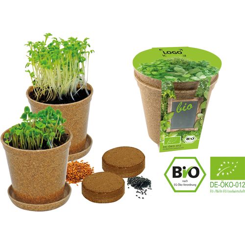 aromatische kruiden aromatische kruiden