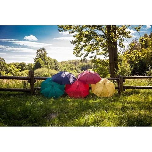 Automatic umbrella | Hayden