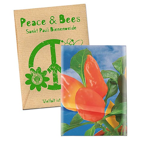 Zaadzakjes standaard papier - Soda kraftpapier - Paprika
