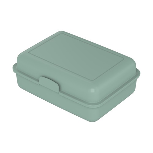 lunchbox