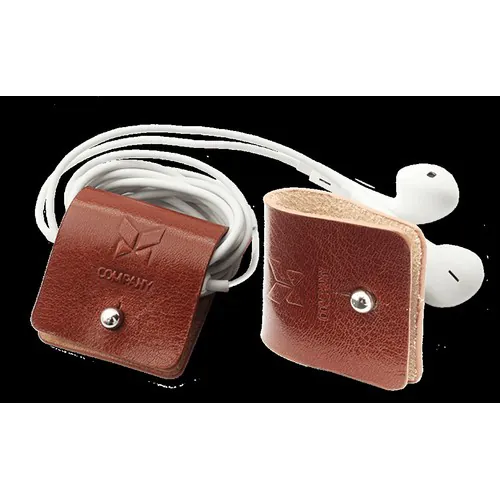 Earphone organizer