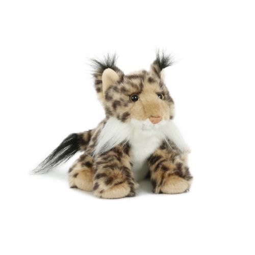 "SEMO-Babies" Luchs